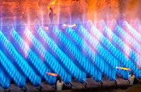 Liberton gas fired boilers
